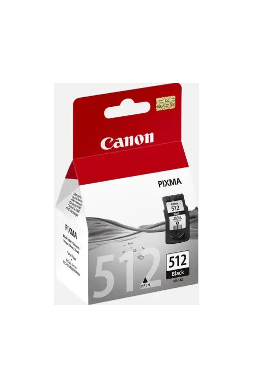 PG-512 Cartuccia Canon ORIGINALE 2969B001 Nero Alta Capacita'